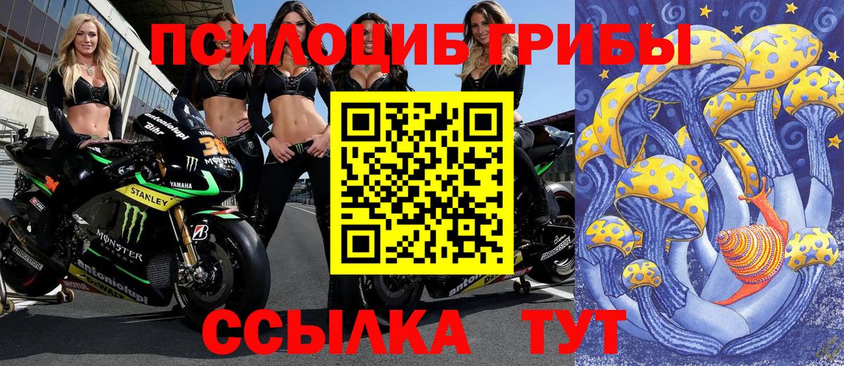 Псилоцибиновые грибы ЛСД Егорьевск