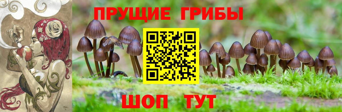 Егорьевск  Галлюциногенные грибы мицелий  Вход с VPN 